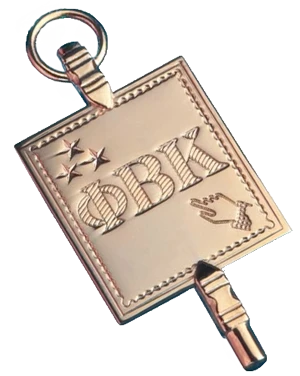 image of the golden key pin