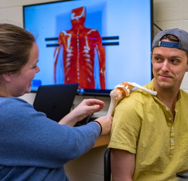 Female student holding a shoulder bone joint model against a male student's arm. 