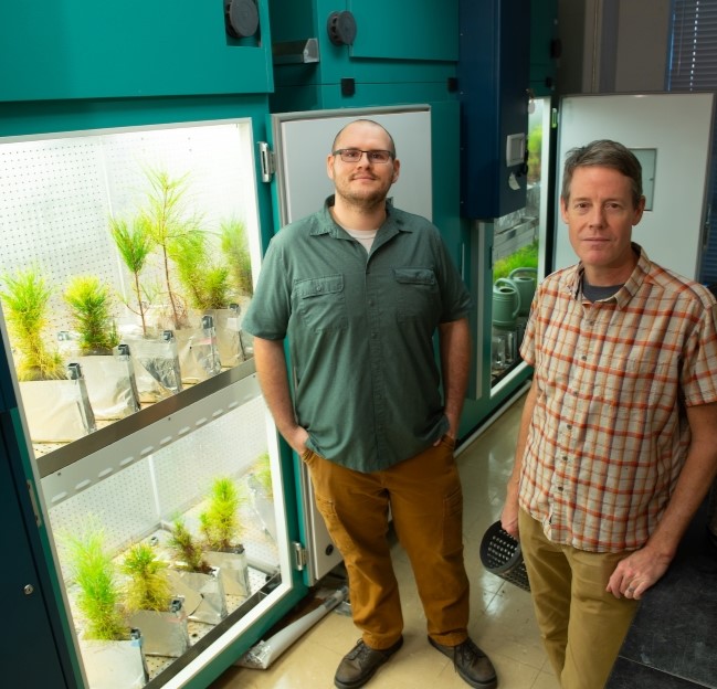 faculty member standing with a graduate student in front of tree samples in a growth chamber