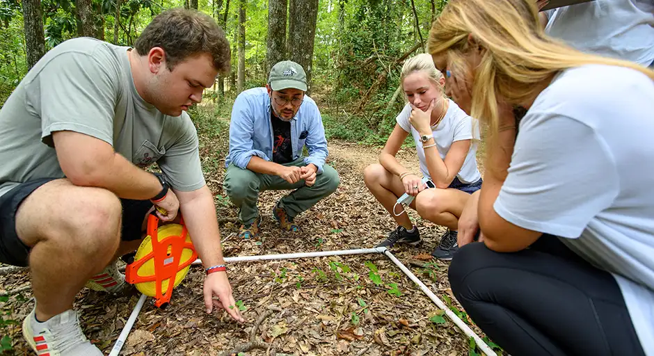 Students in a forest kneel to examine plant life.