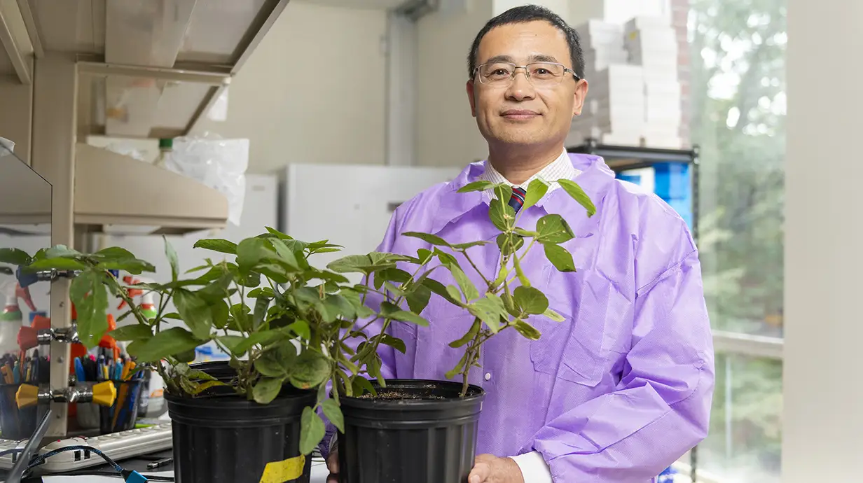 Professor in lab next to two soy bean plants.