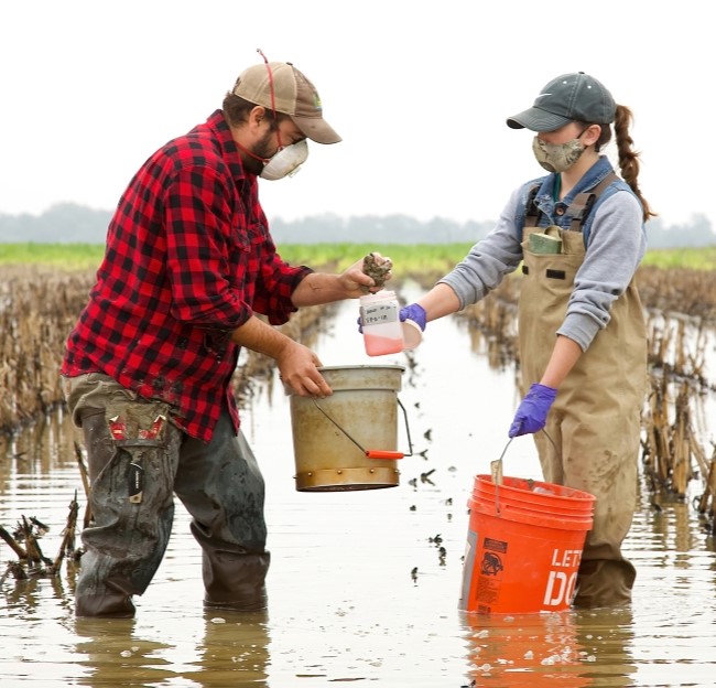 image of two people standing in a flooded agricultural field holding buckets and collecting soil samples in a glass jar