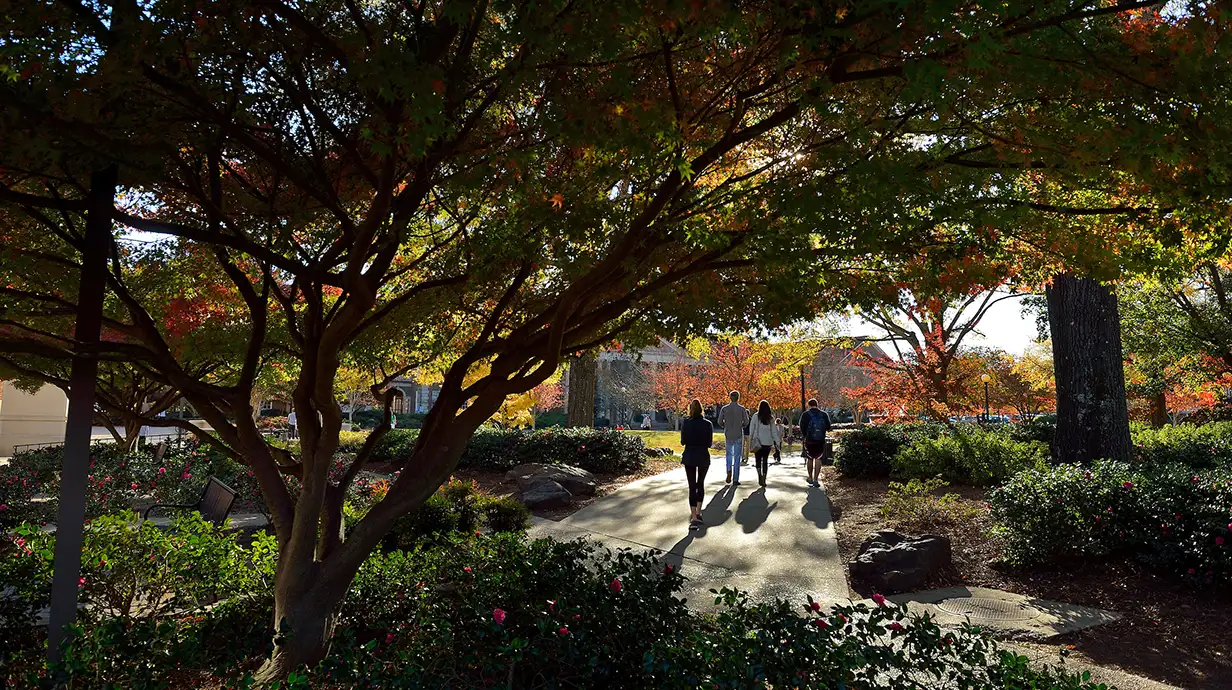 Trees in foreground. Buildings in background. A concrete path has four people walking away from the viewer.