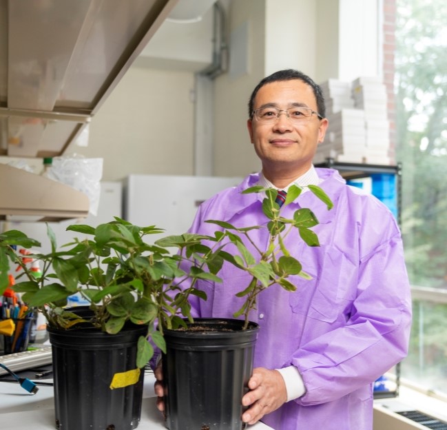 photo of faculty member in his lab holding a plant