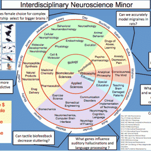 neuroscience graphic