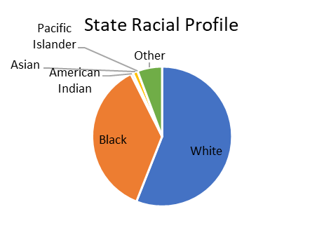 State Racial Profile graphic image