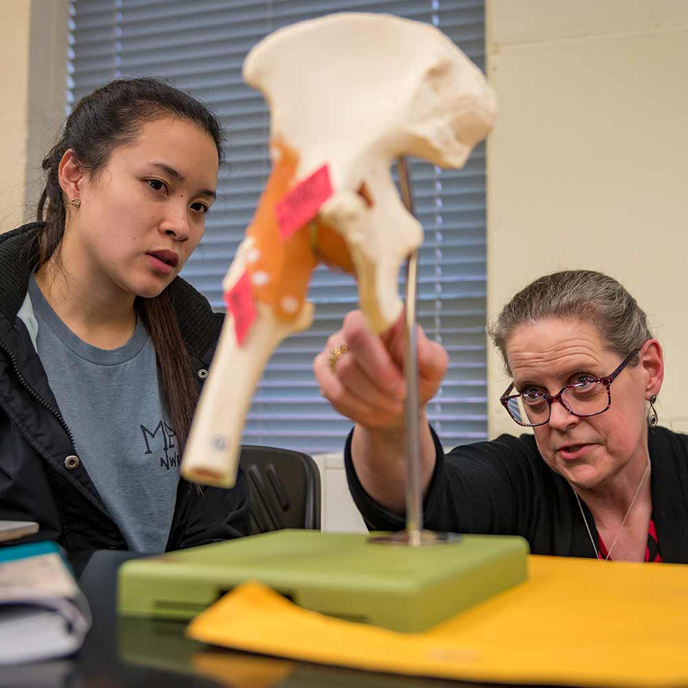 Dr. Carol Briston (right) and student with 3-D model of the iliac